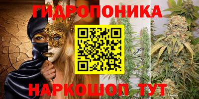 герыч Камышлов