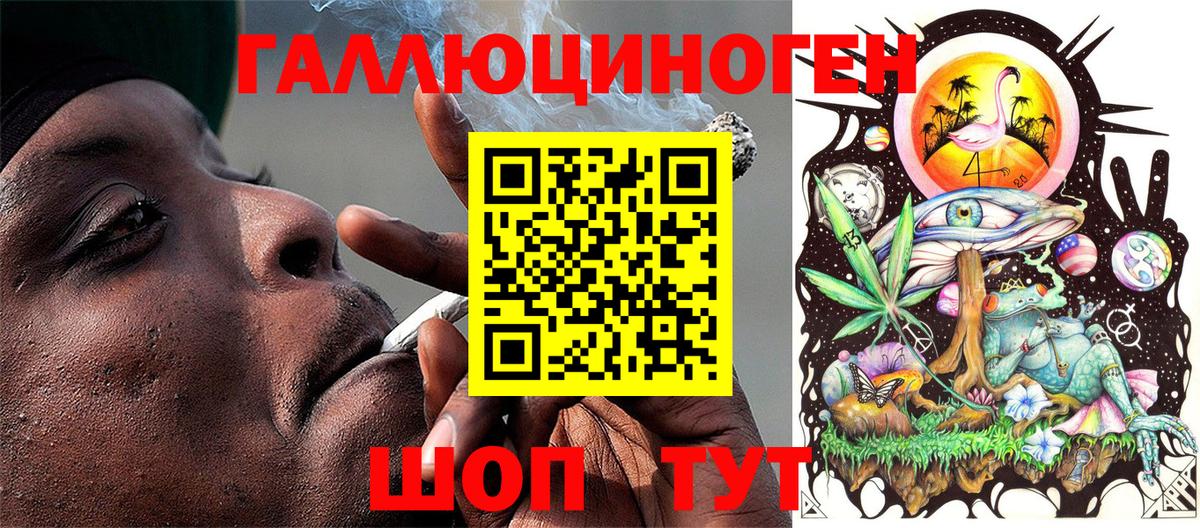 Псилоцибиновые грибы GOLDEN TEACHER Фролово
