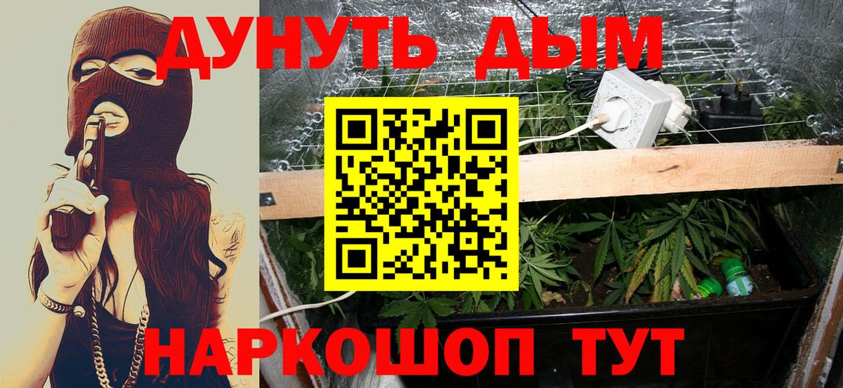 Бошки Шишки MAZAR Фролово