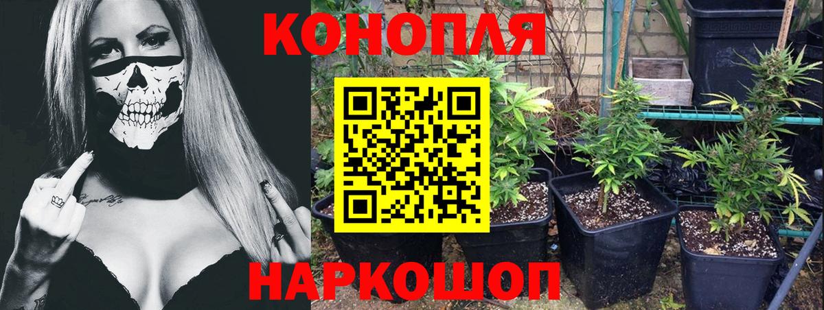 Каннабис MAZAR  МАРИХУАНА ГИДРОПОН  Фролово  Бошки Шишки марихуана  Вход с VPN 